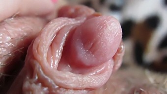 Get Up Close And Personal With My Throbbing Clit