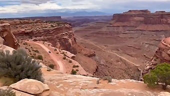 Road Trip Diaries: Wild College Students Explore Desert Adventures