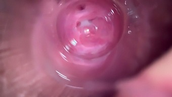Close-Up Of Deep Penetration In A Young Brunette'S Vagina