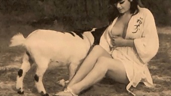 Classic Taboo: A Vintage Erotic Exploration Of Forbidden Desires